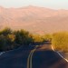 Bumpy Desert Road