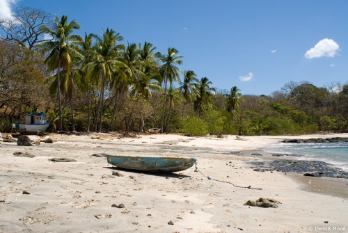 Beached Boats