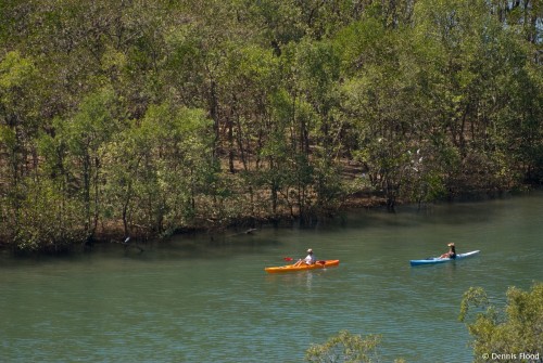 Kayaking Rio Nosara