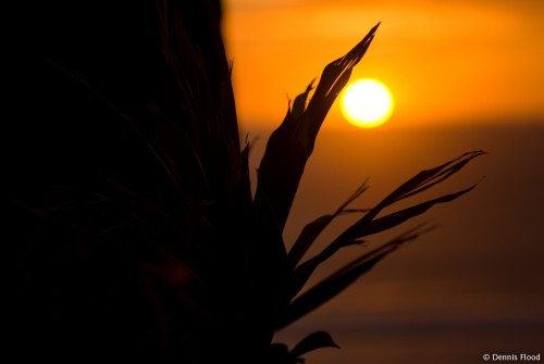 Orange Seaside Sunset