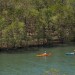 Kayaking Rio Nosara