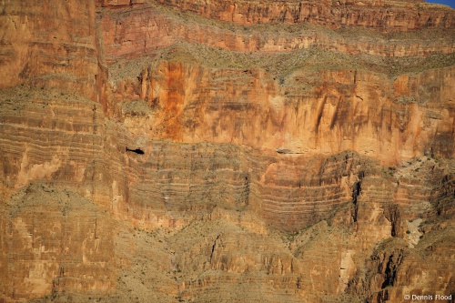 Grand Canyon Helicopter Tour