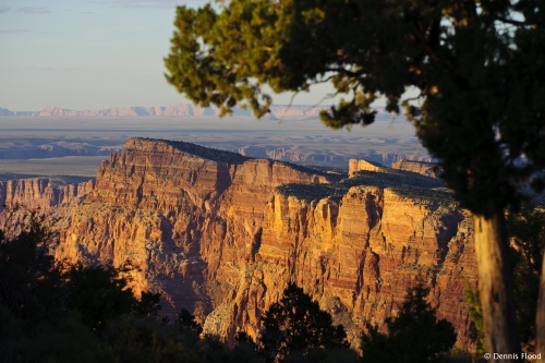 Late Afternoon Light at Desert View