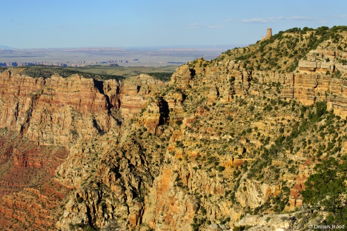Near Desert View