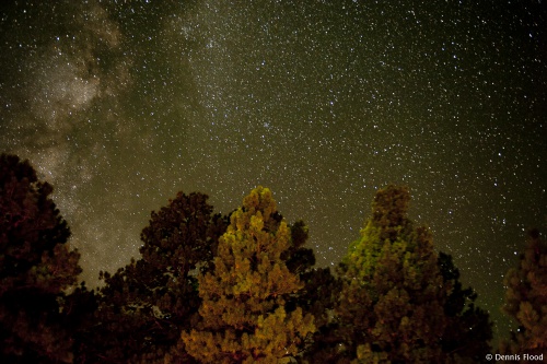 North Rim Stars