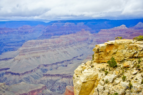 South Rim View