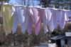 Baby Laundry in the Breeze