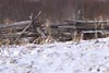 Wooden Fence with Snow
