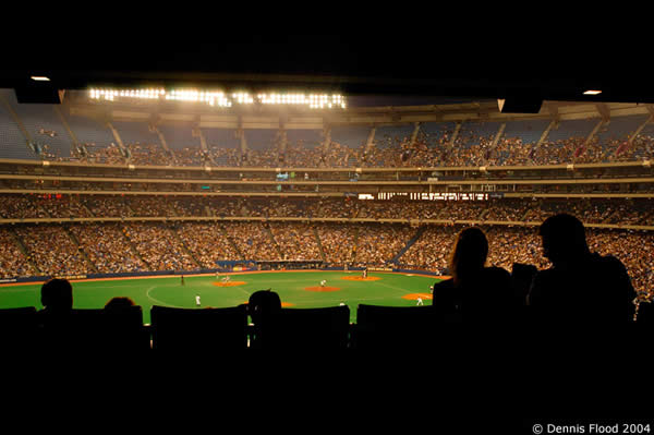 The Baseball Crowd at Night