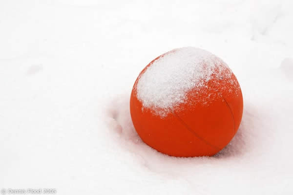 Basketball in the Snow