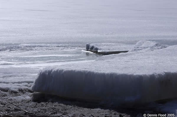 North Toronto Ice Floes