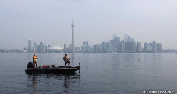 Fishing in the Toronto Inner Harbour