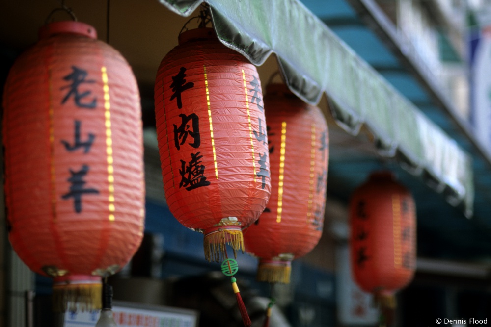 12 Pack Red Chinese Nylon Lanterns With Gold Foil Fu Characters - Spring Festival & Party Decorations
