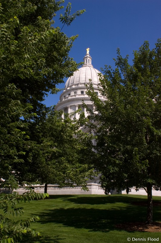 Capitol Dome Hidden Behind Trees