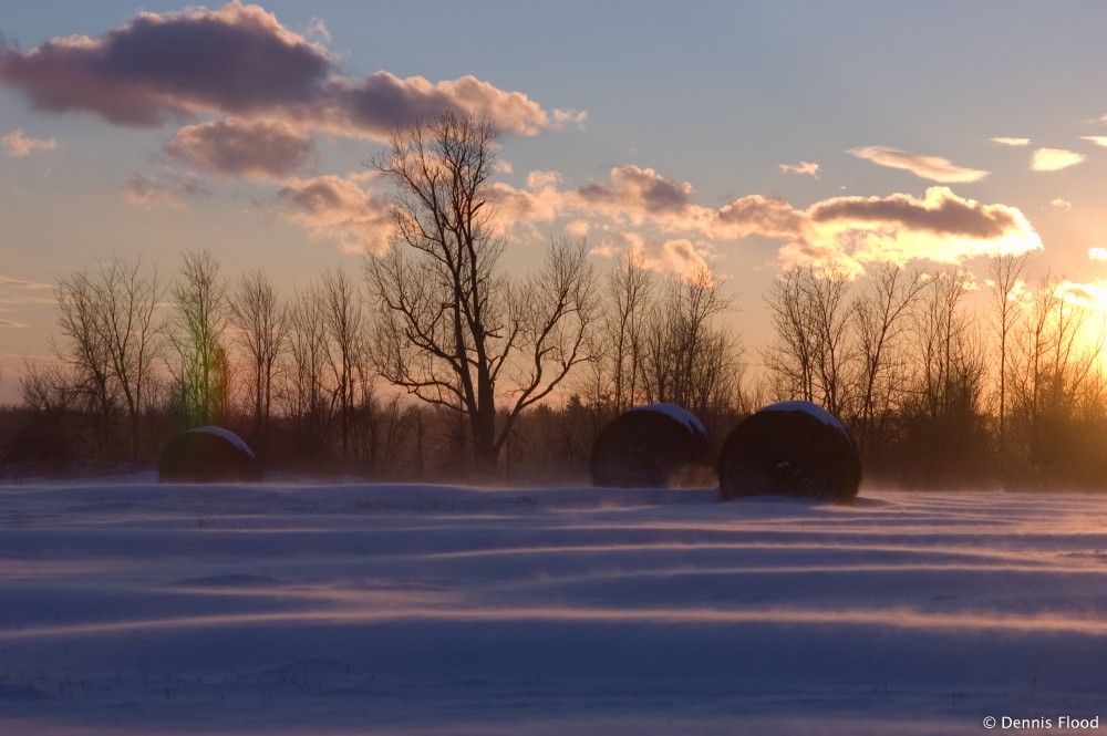 Cold Farmers Field in Winter