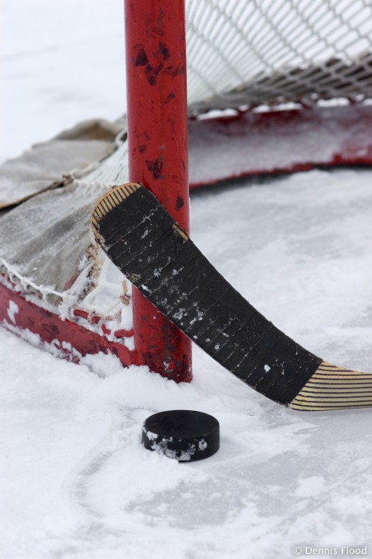 Hockey Stick, Puck and Net