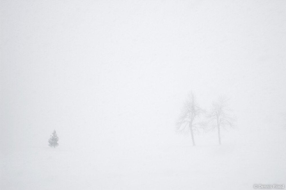 Whitewashed Landscape