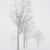 Trees in a Blizzard