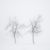 Two Trees in a Storm