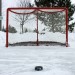 Hockey Net and Puck