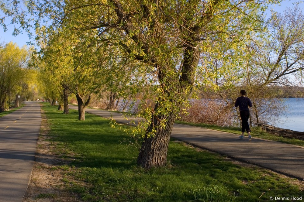 Jogger on Urban Trail