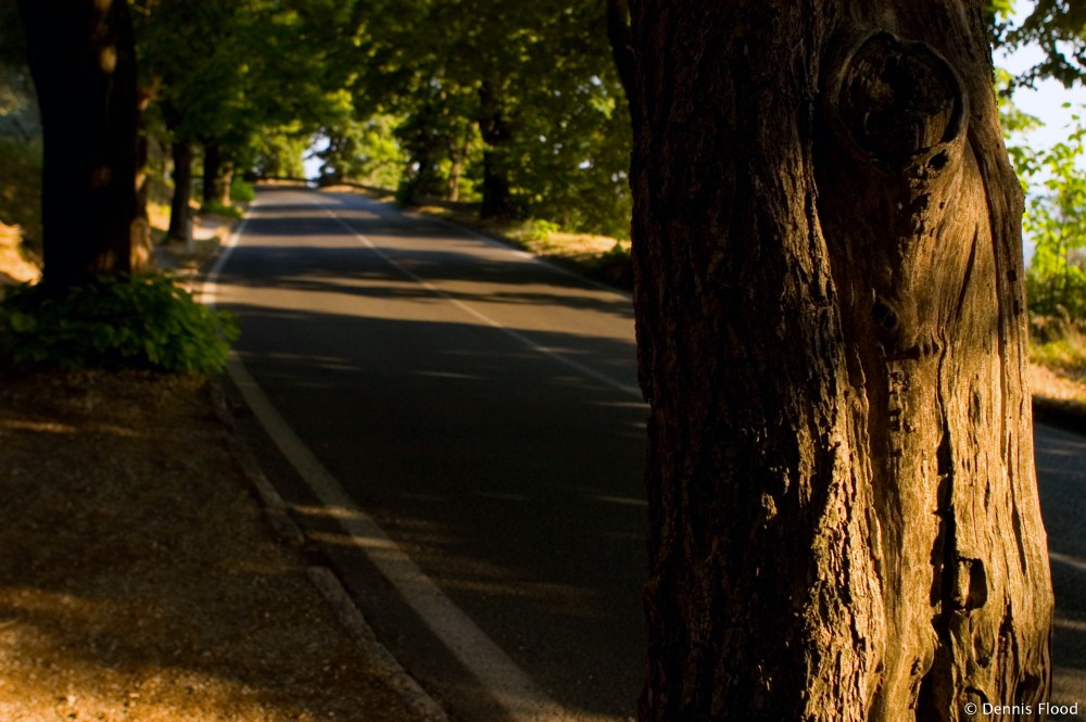 Quiet Assisi Roadway