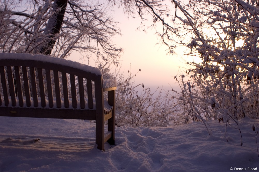 Snow Covered Bench