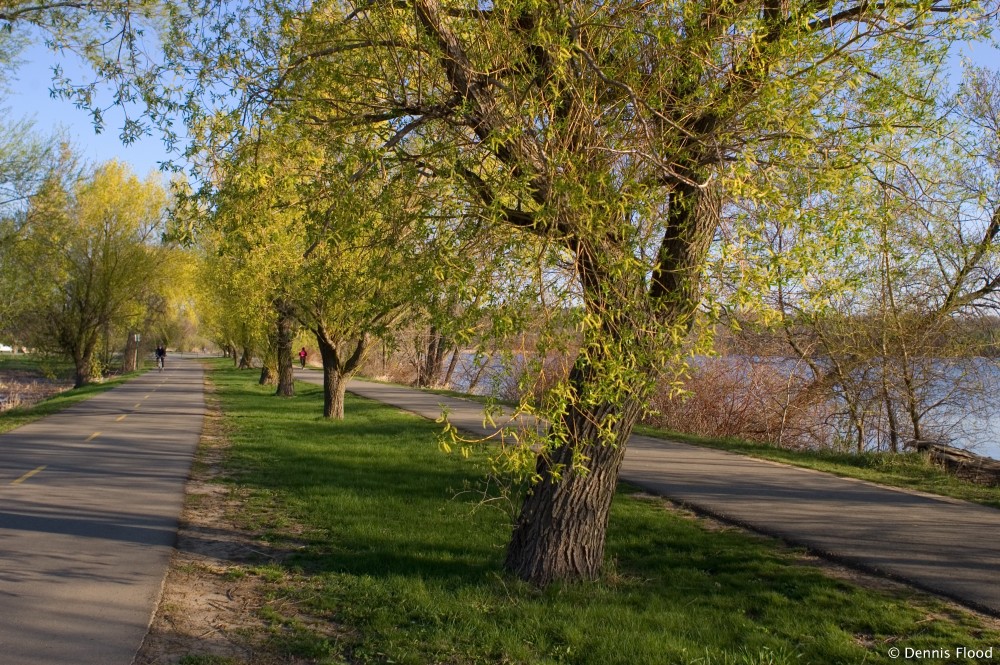 Spring Trail