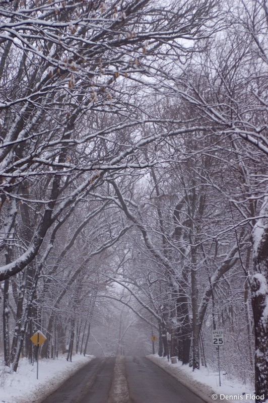 Wintery Road Conditions