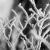 Frosted Branches