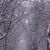 Wintery Road Conditions