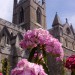 Christ Church Cathedral in Dublin, Ireland