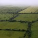 Foggy Pasture