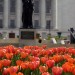 Forward Statue in Spring