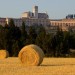 Hay Bales Near Assisi