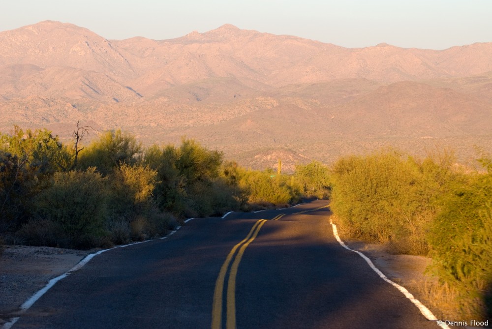 Bumpy Desert Road