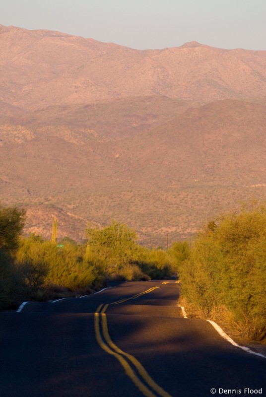 Bumpy Desert Road