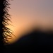 Desert Silhouettes at Sunset