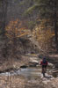 Mountain Biker Crossing Stream