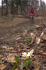 White Flowers and Biker