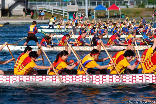 Dragon Boat Racers