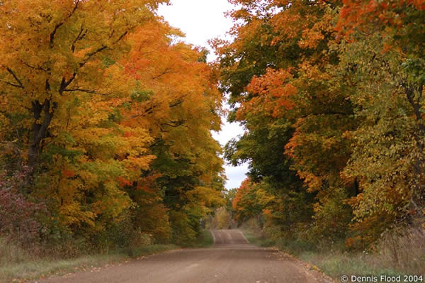 Country Road in Fall