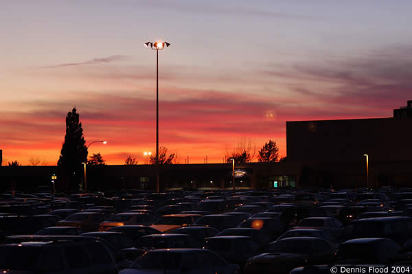 Cars in a Parking Lot