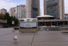 Toronto Citywatch - Bird Division