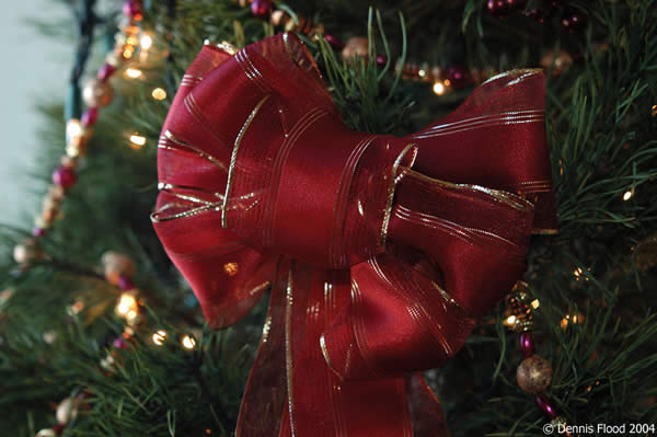 A Christmas Bow