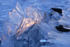 Jagged Ice