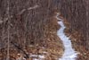 Snow Covered Path