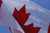 Canadian Maple