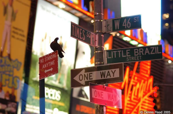 Street Signs in Times Square