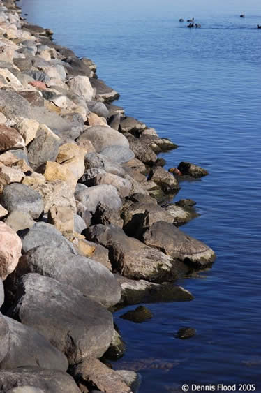 Blue Water Rocks